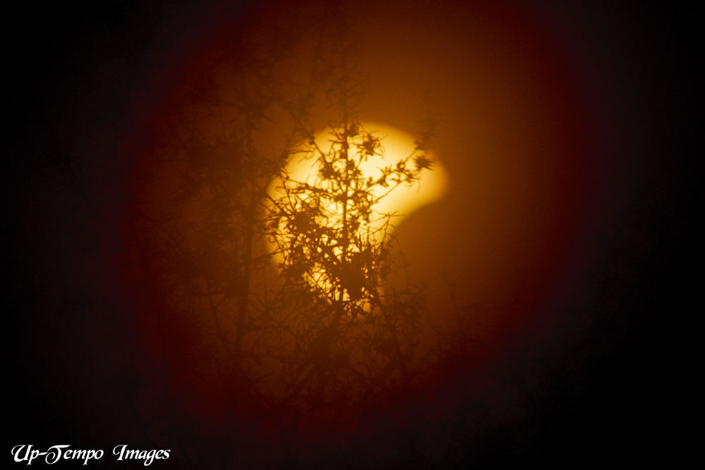 Eclipse