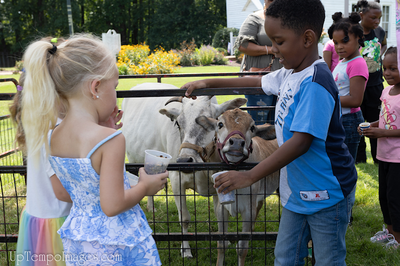 Zoo